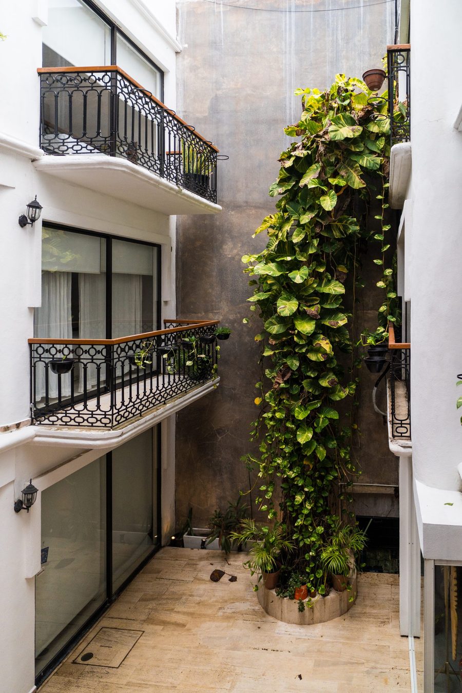 Columna de enredadera en el jardín interior del hotel